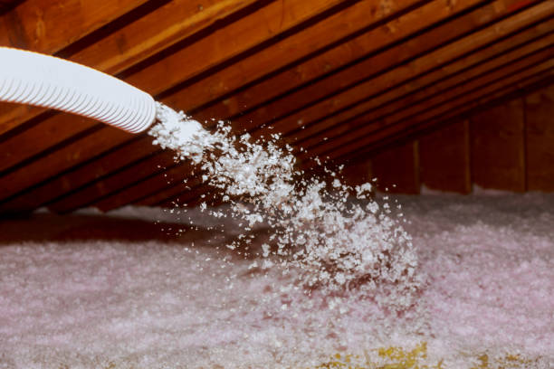Best Commercial Insulation in Blountstown, FL